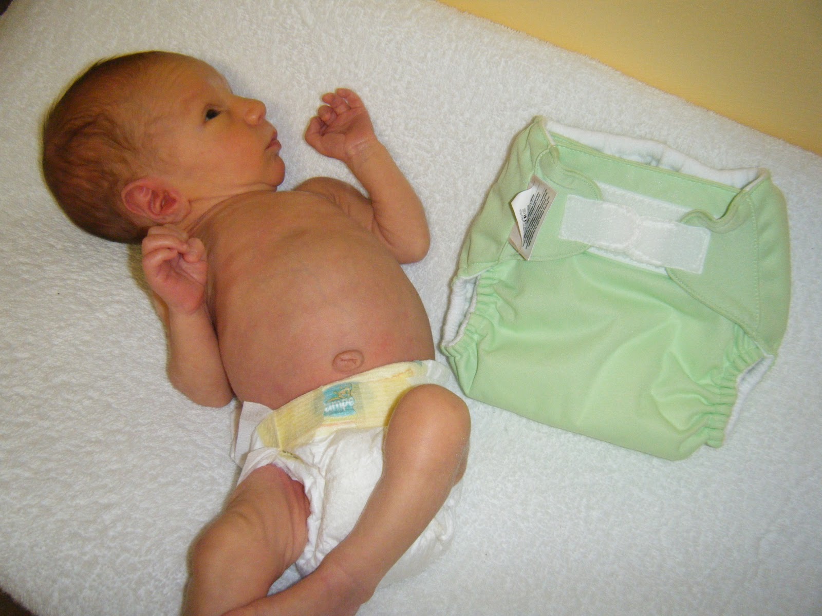 All Four Love Fluffy Butt and Other Milestones