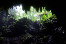 Camuy Caves