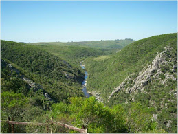 Monte de quebrada