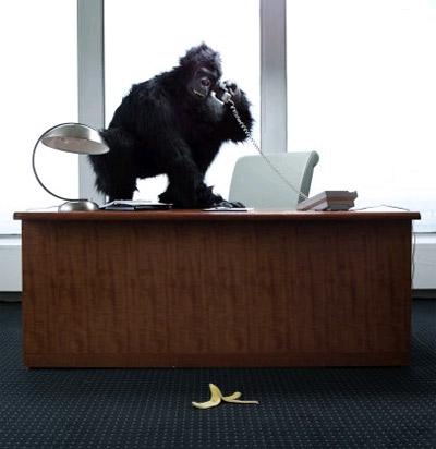 [monkeyondesk.jpg]