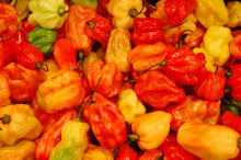 Peppers in la Boqueria