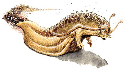 [alumni_Baalzebul_BVD.jpg]