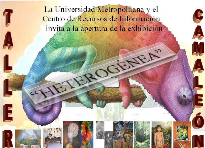 HETEROGÉNEA
