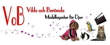 Hundmodell agentur