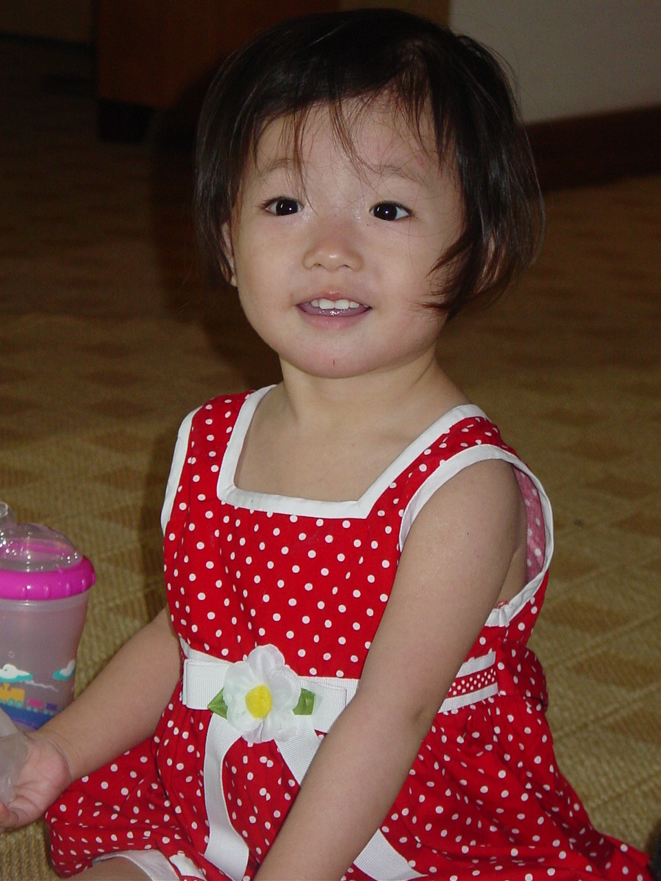 [DSC06154.JPG]