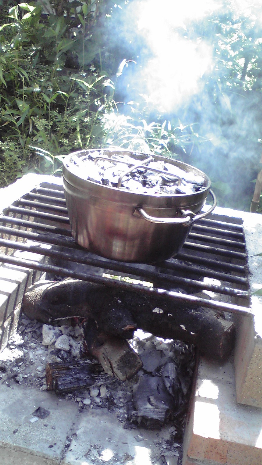 [2009053113410000.jpg]