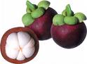 [mangosteen.jpg]
