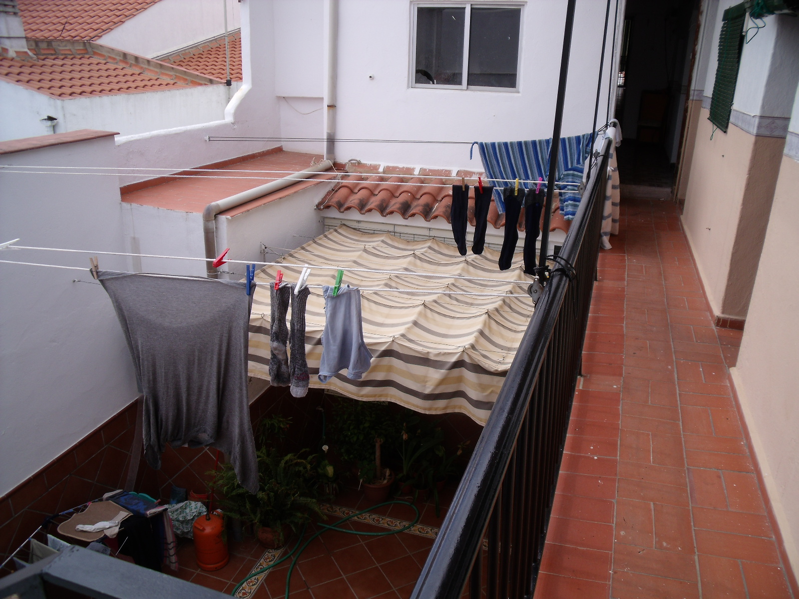 [DSCF0264.jpg]