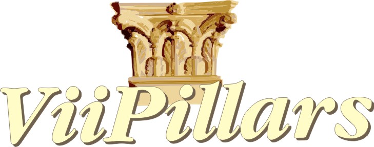 Vii Pillars Ministry www.viipillars.co .za  click here for website