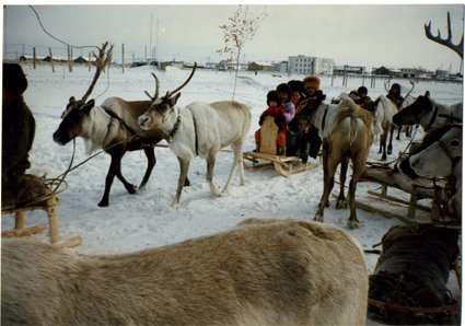[reindeer+fest+2+sled+cropped.jpg]