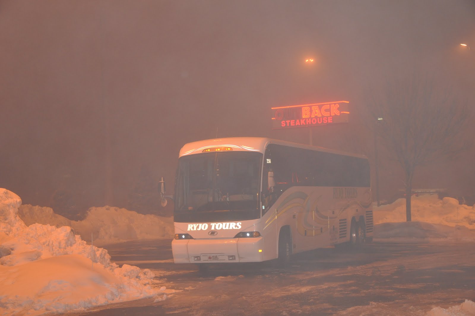 [DSC_0044.JPG]