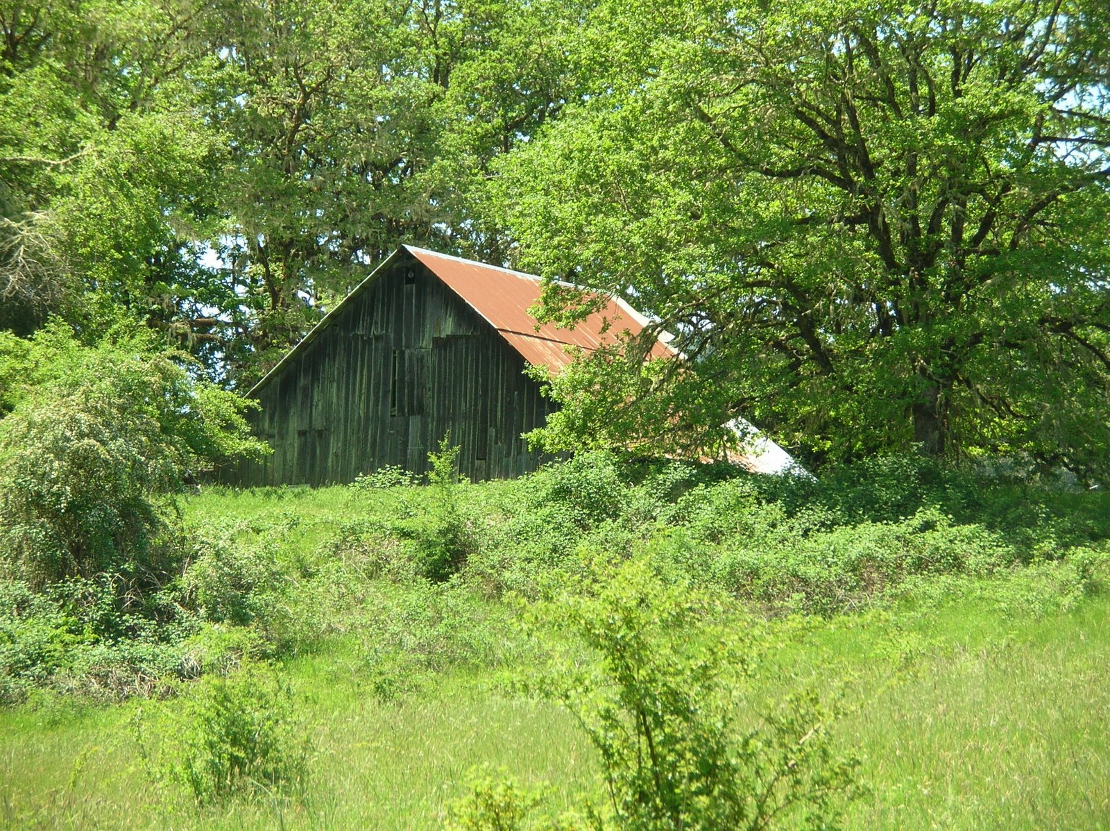 [DSCN7107.jpg]