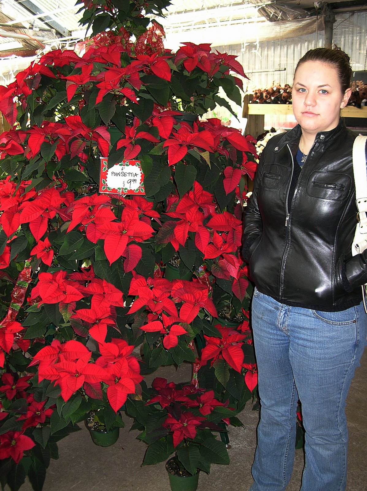 [Poinsettia+Open+House_November+2008+001+(1).jpg]