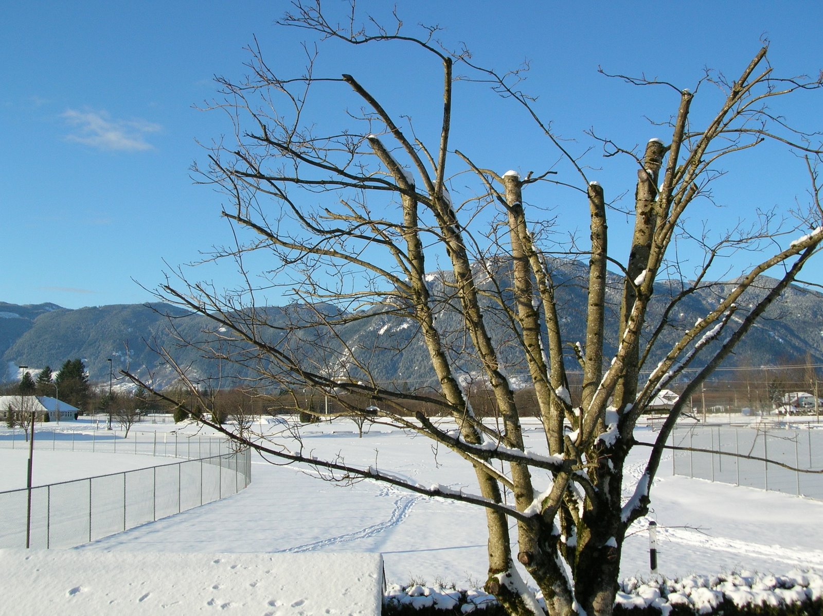 [DSCN8624.JPG]