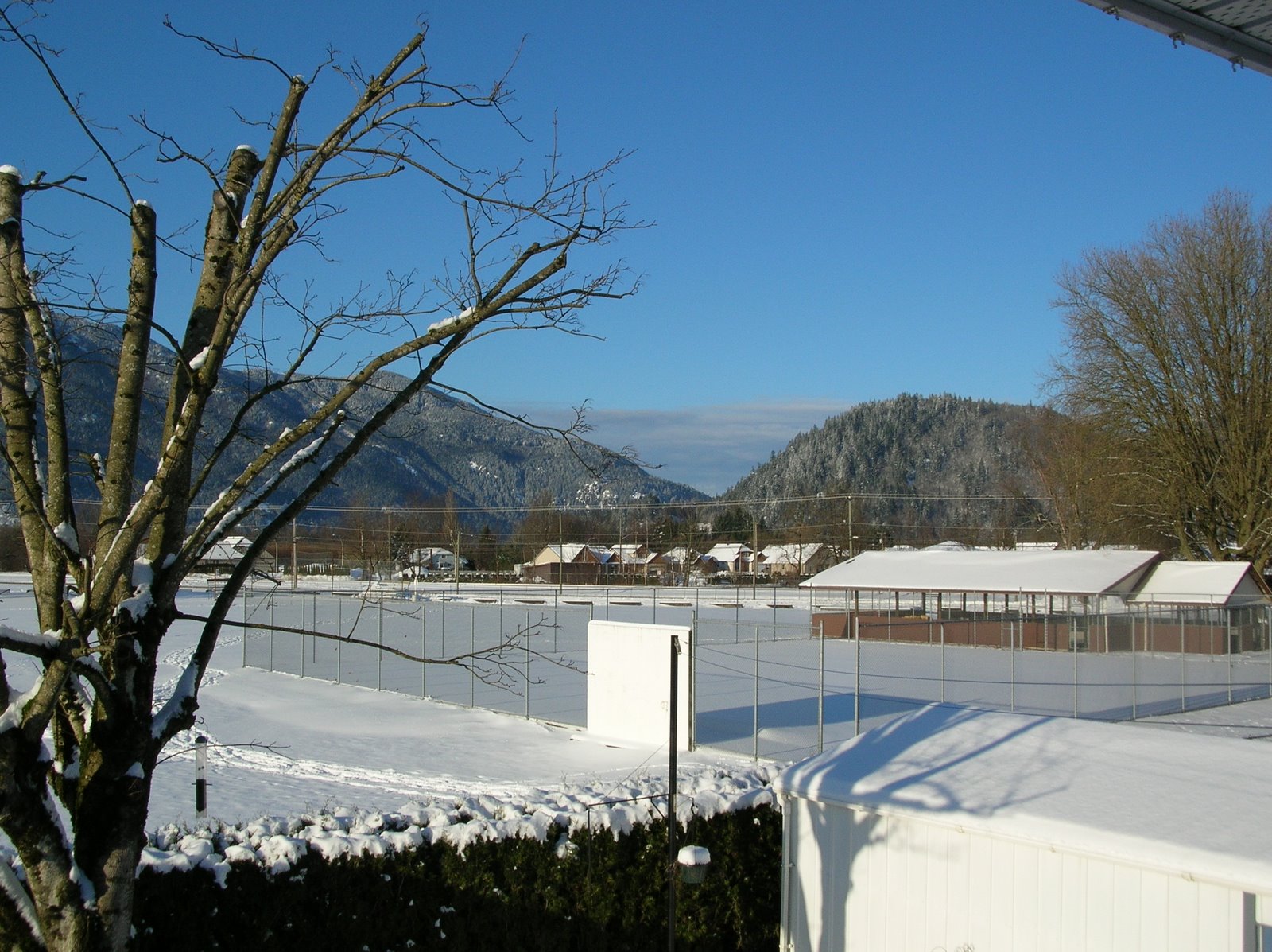 [DSCN8625.JPG]