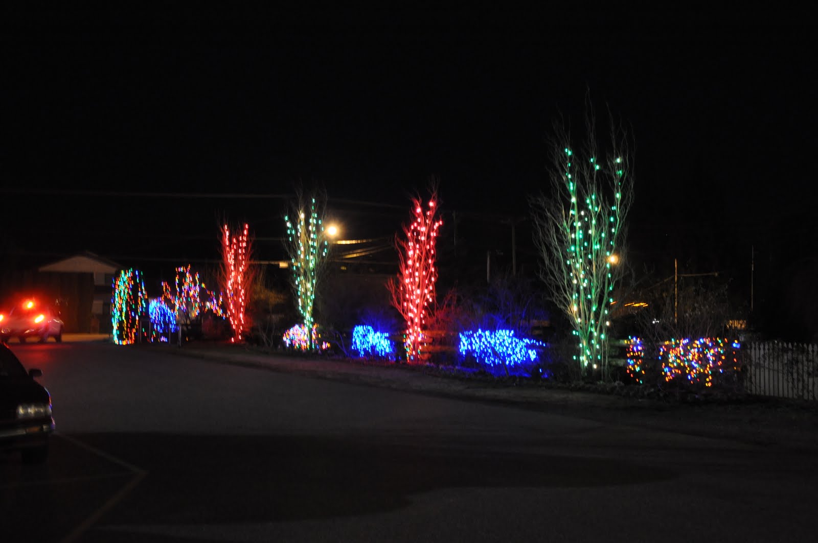 [DSC_0095.JPG]