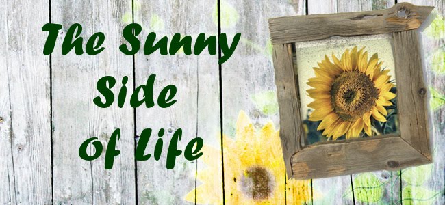 The Sunny Side of Life