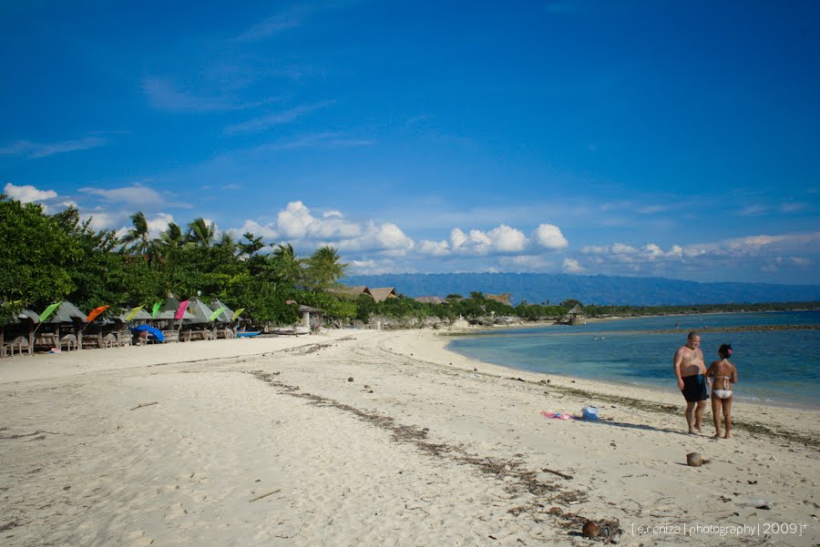 Sandy Coastline