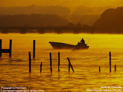 HD Nature wallpaper Collection 04 HD Nature wallpaper Collection 04