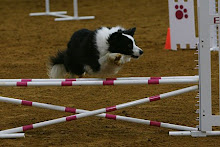 Whitney in the Finals