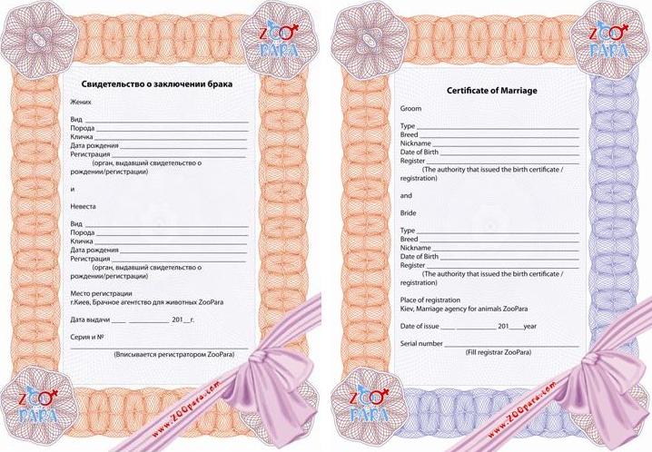 Бланк для выездной регистрации брака скачать