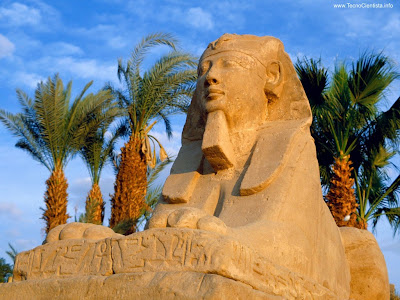 Image Detail