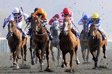 Online Horses Racing