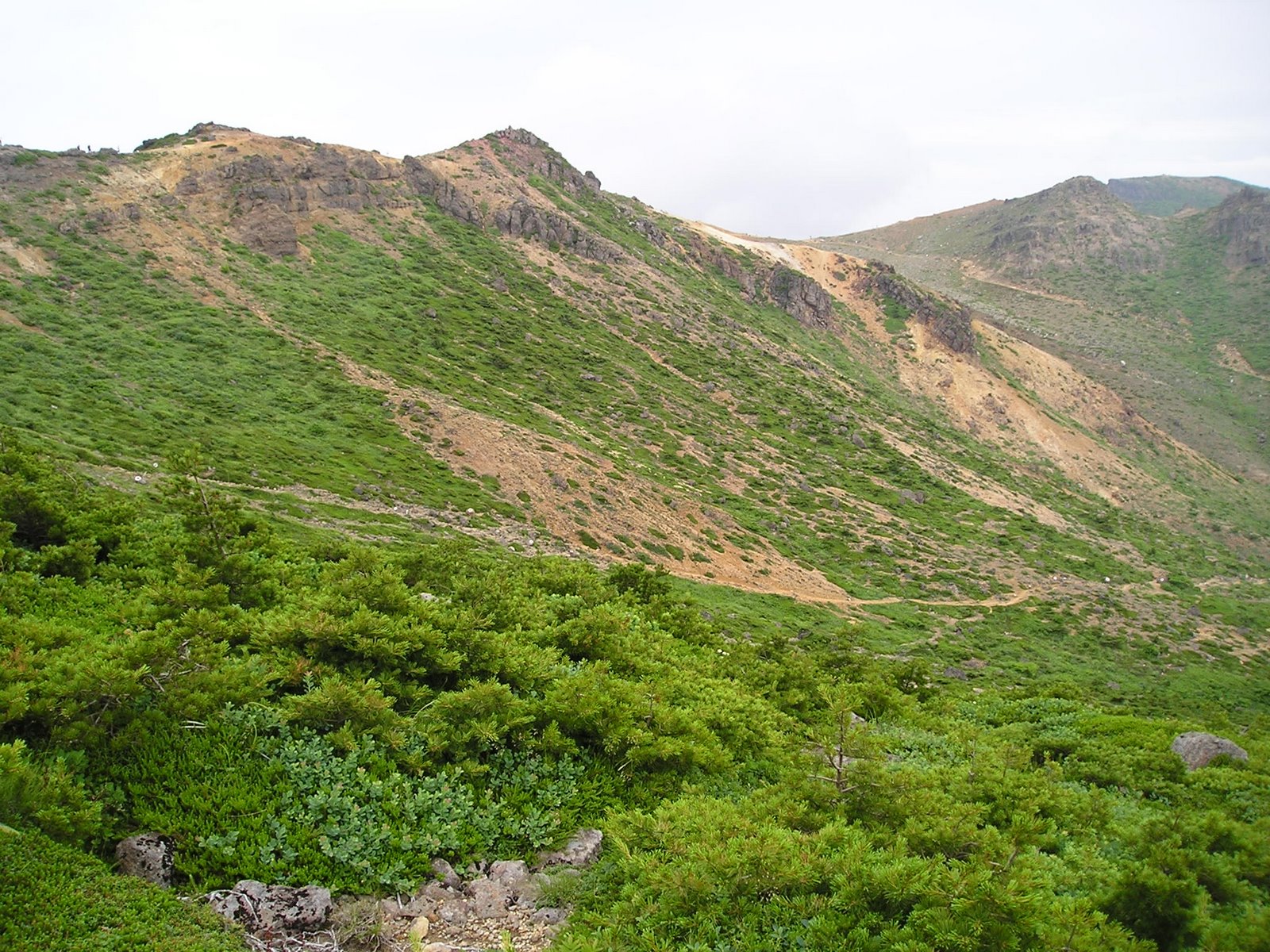 [P1013439.JPG]