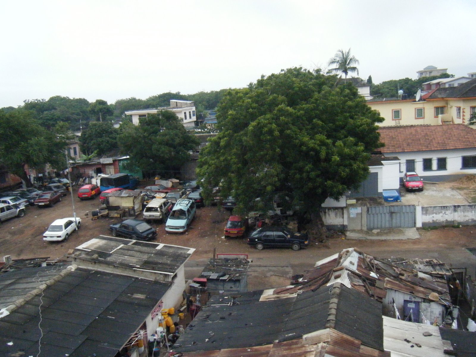 [DSCF0048.JPG]