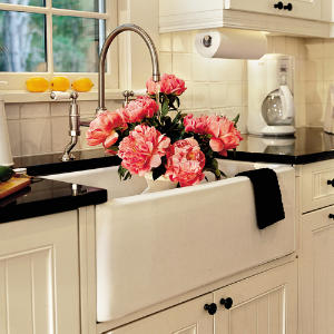 Farmhouse Sink Photos