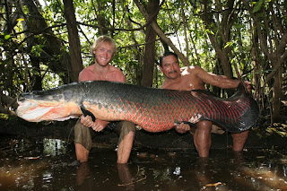 Arapaima Snapshoot 5