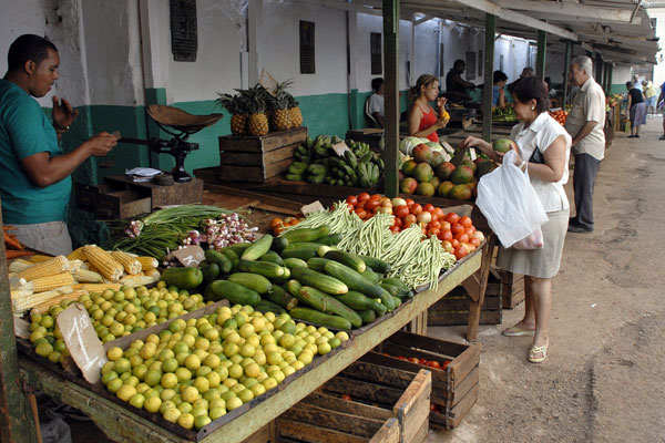 [Crisis+alimenticia+2009+2.jpg]