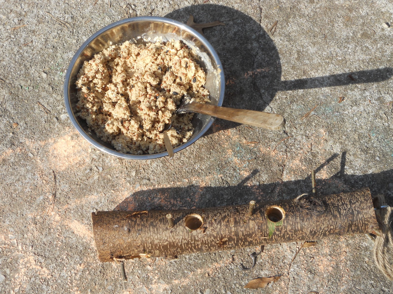 The Five of Us How to Make a Suet Log Feeder