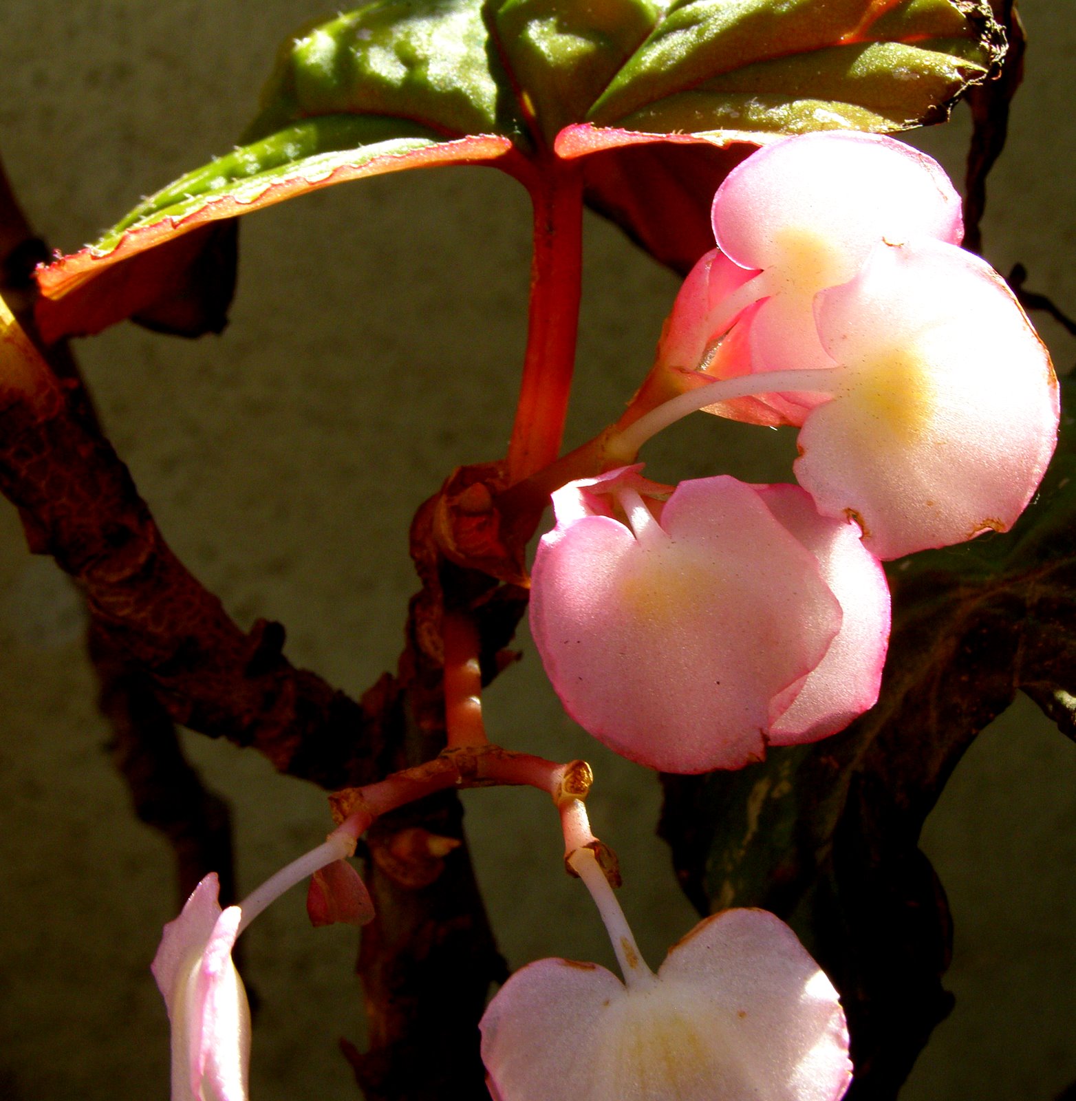 [P1070003.JPG]
