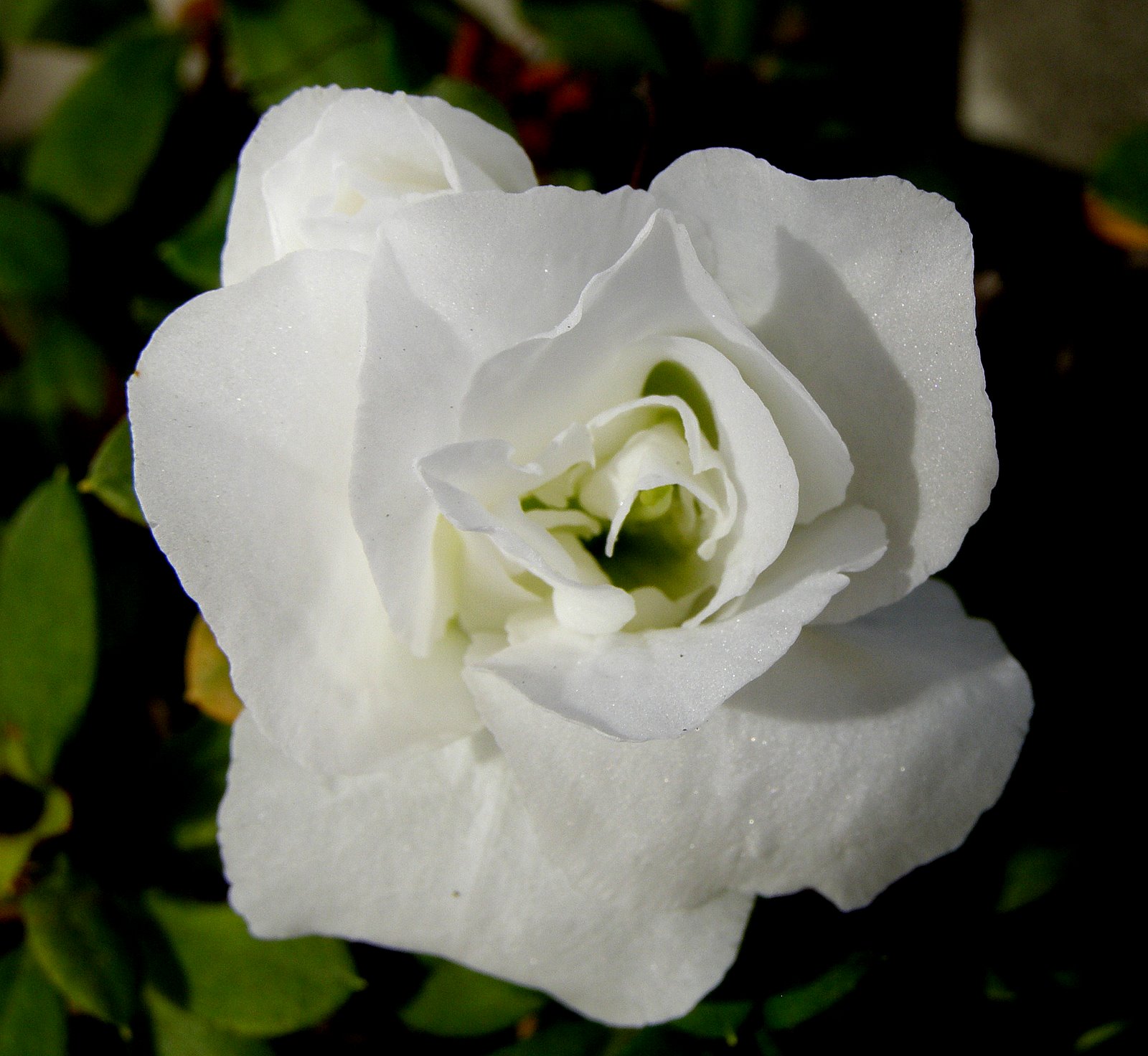[P2250046.JPG]
