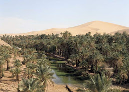 Oasis In the Desert