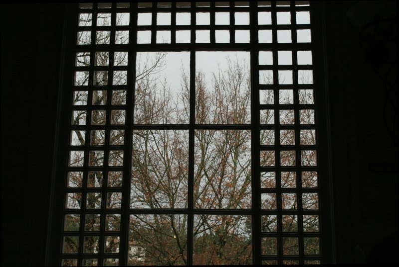 [IMG_7214a.jpg]