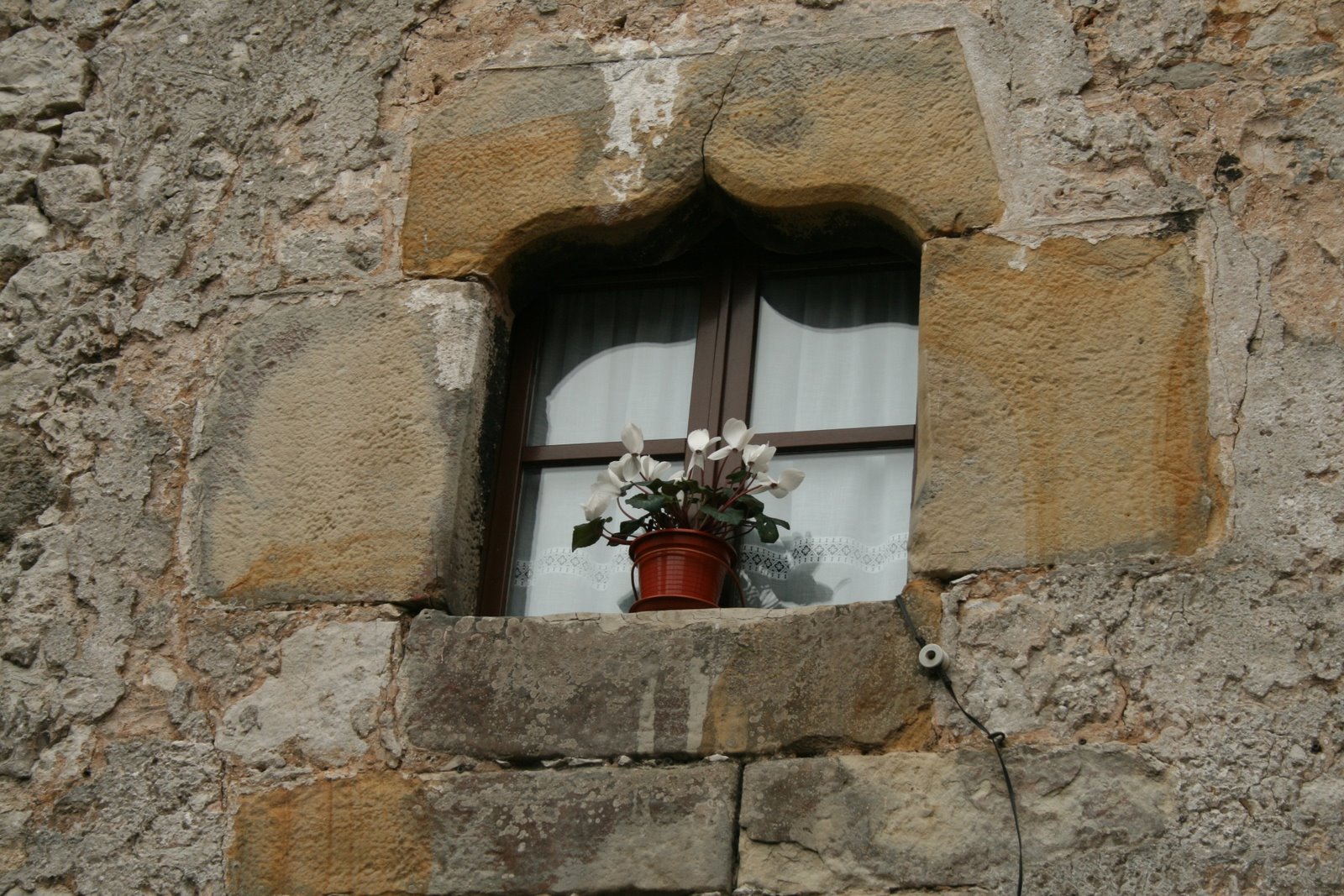 [IMG_7933a.jpg]