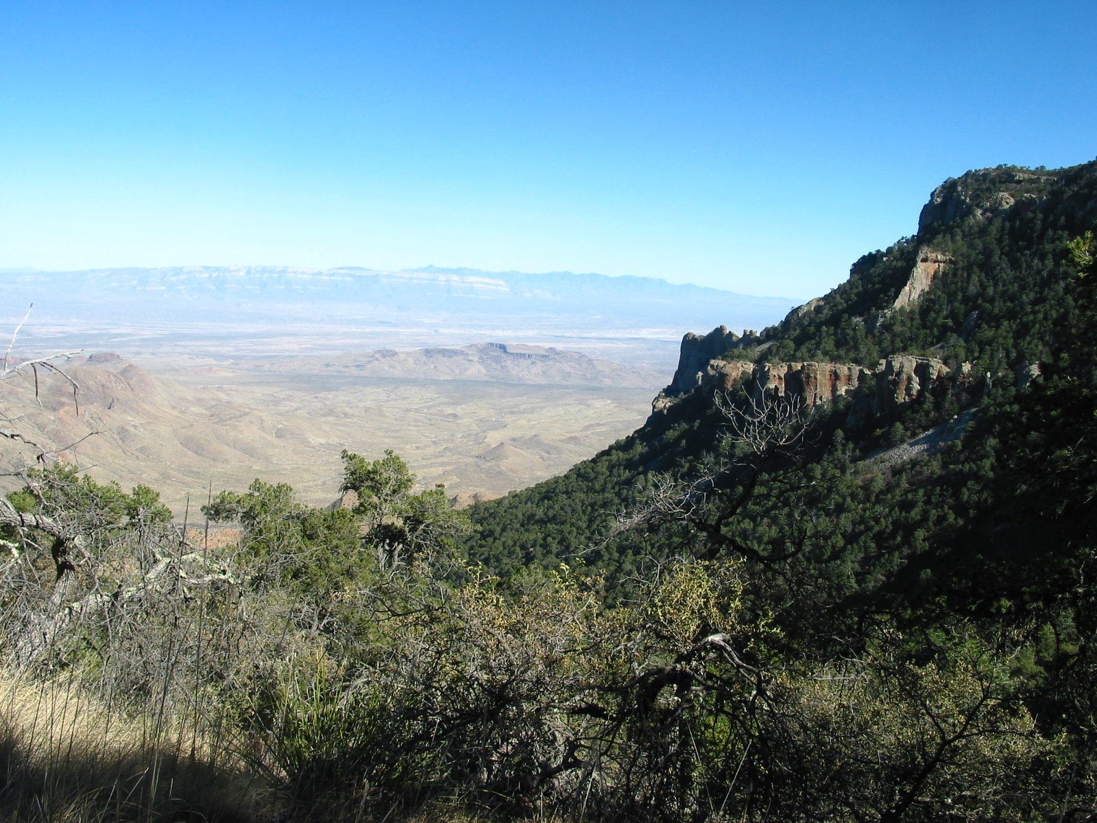 [Big+Bend3+3.08.JPG]