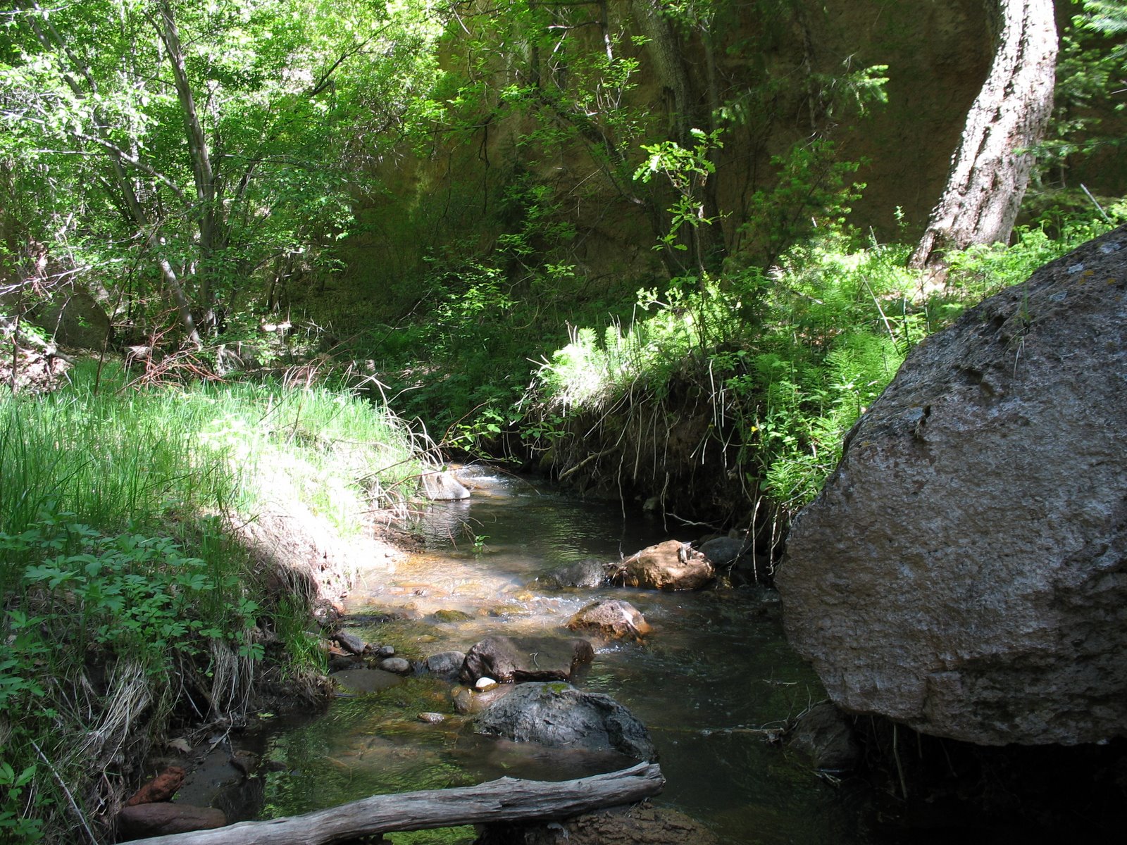 [Bandelier+stream.jpg]