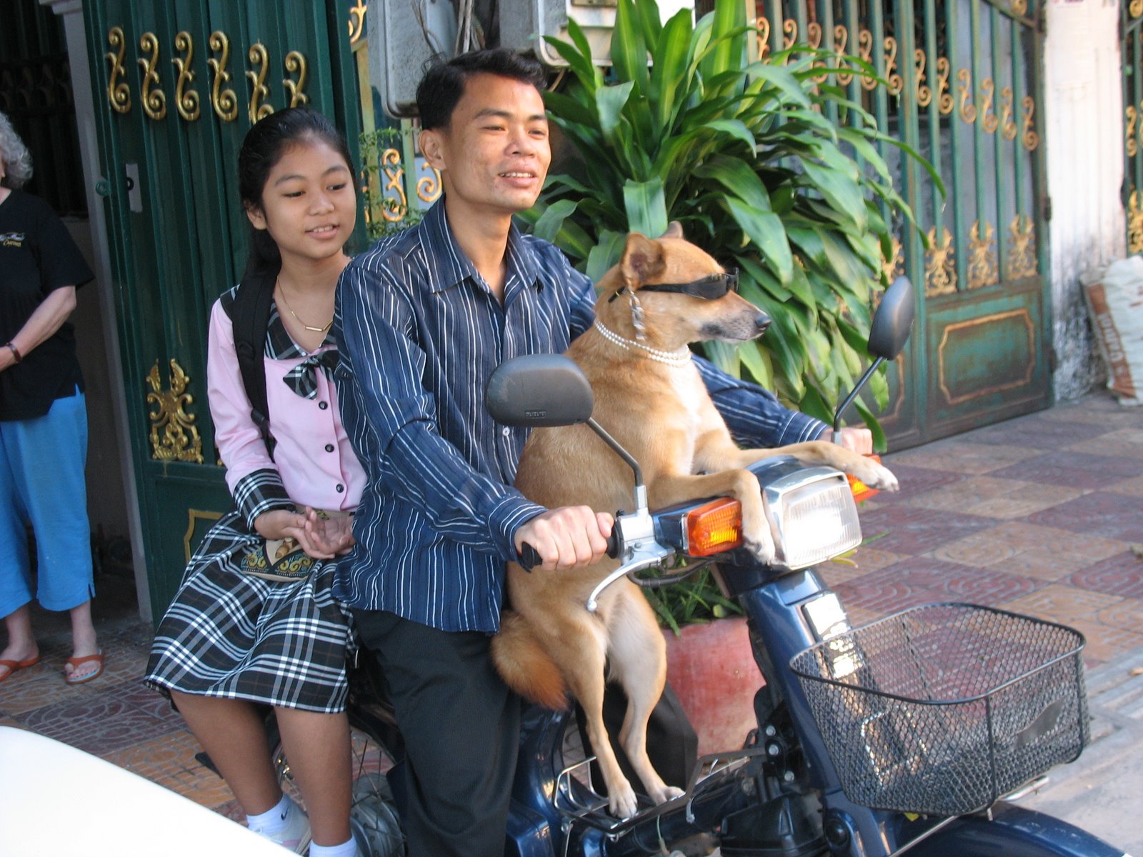 [IMG_4357.JPG]