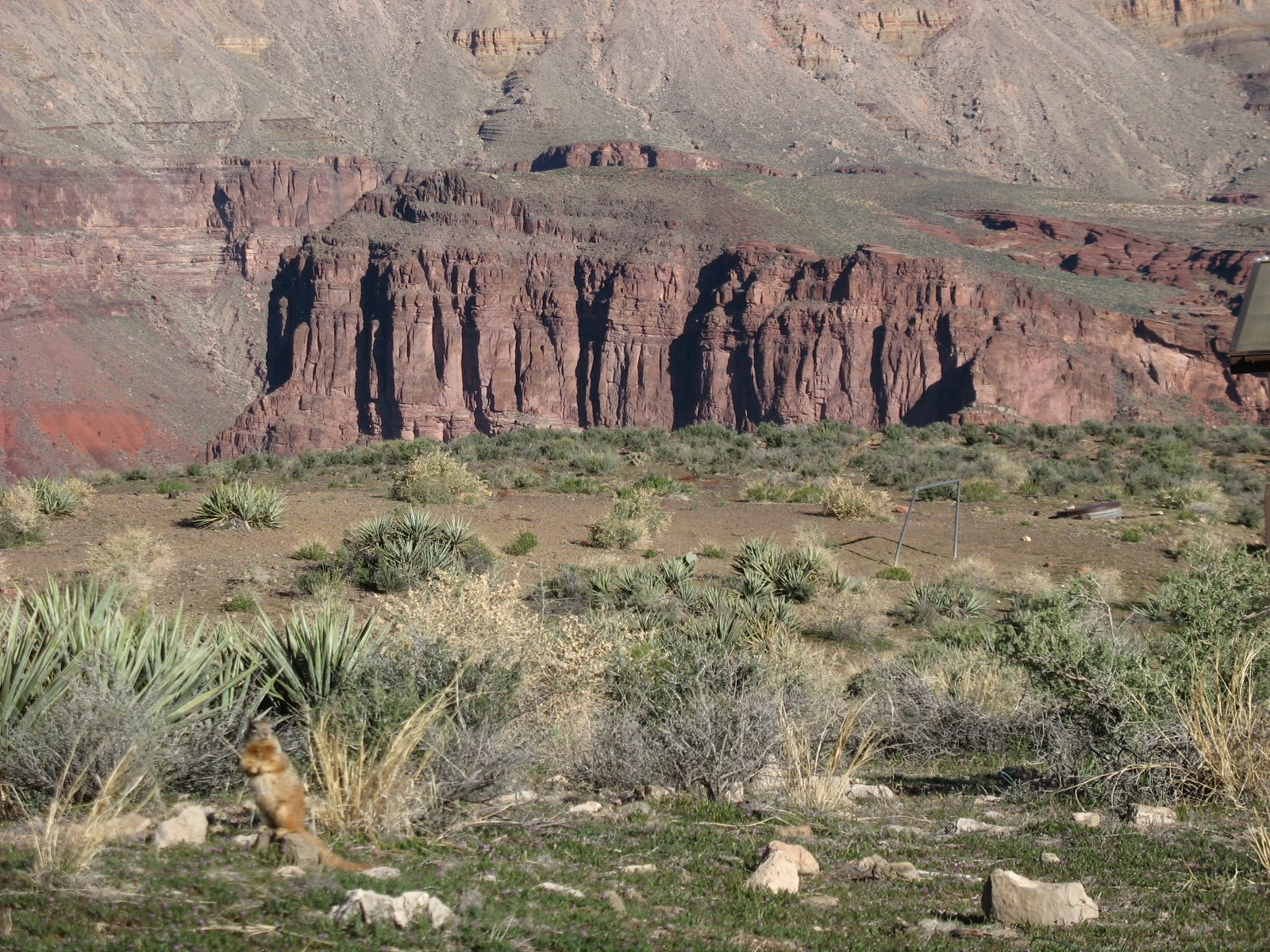 [2009+GC+Tonto7.JPG]