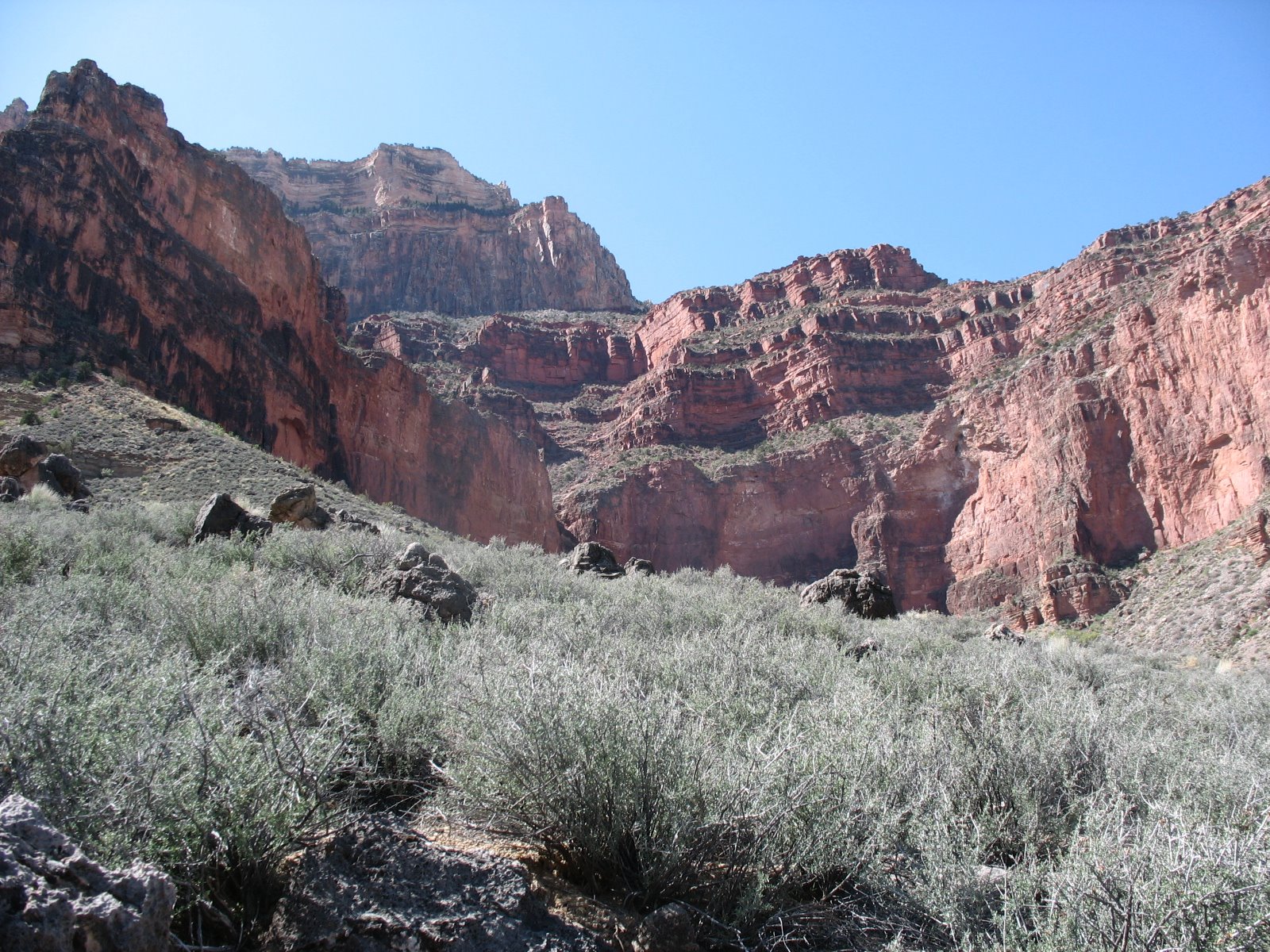 [2009+GC+Tonto+TR2.JPG]