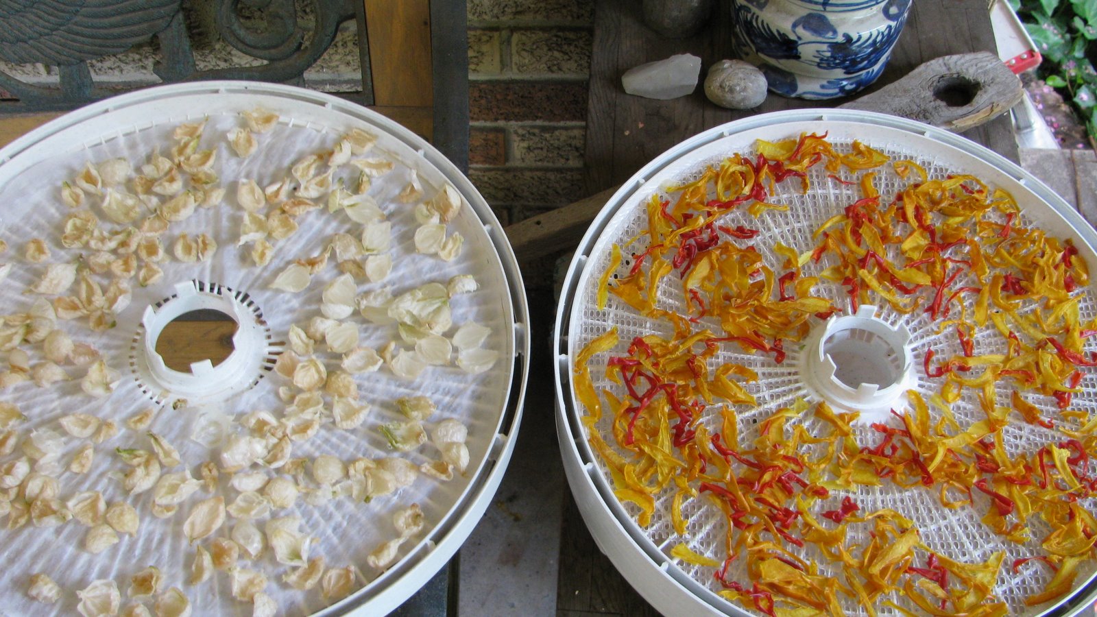 [2009+dehydrate+trays1.JPG]