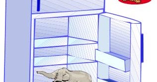 Cara memasukkan gajah di kulkas