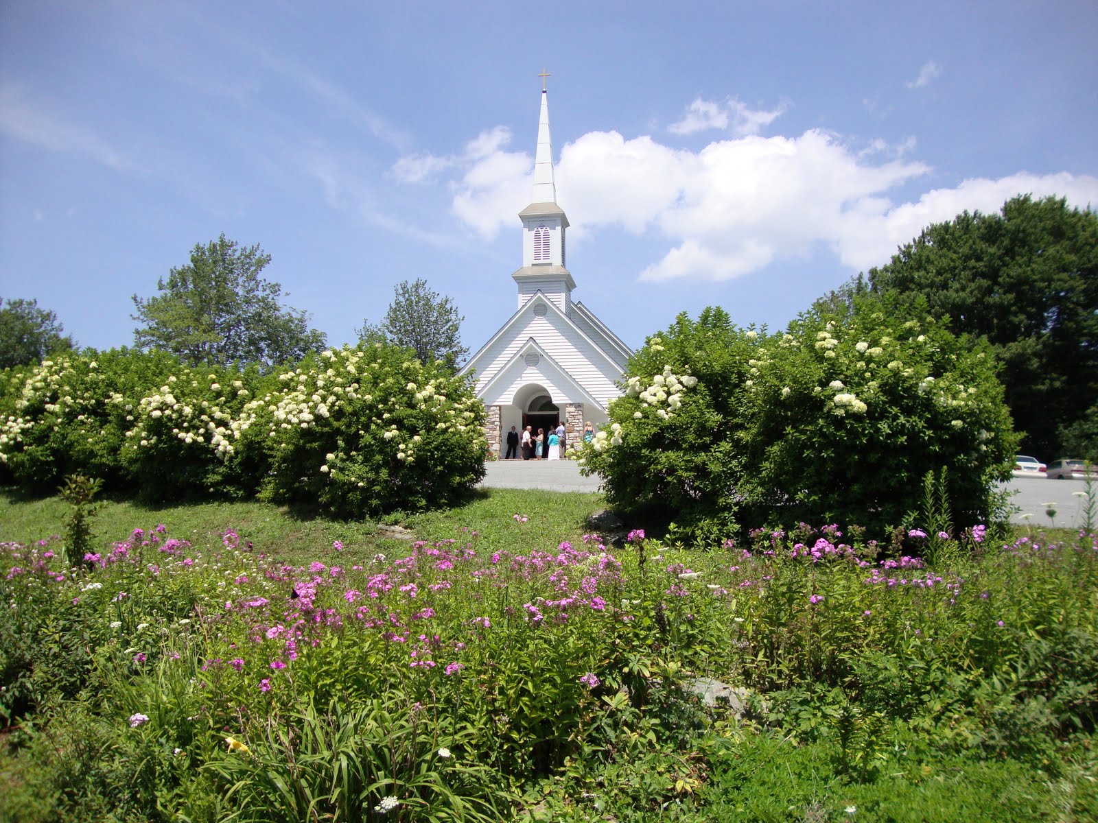 Tales From My Empty Nest Summer Wedding