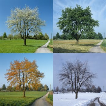 What are characteristics of the four seasons?