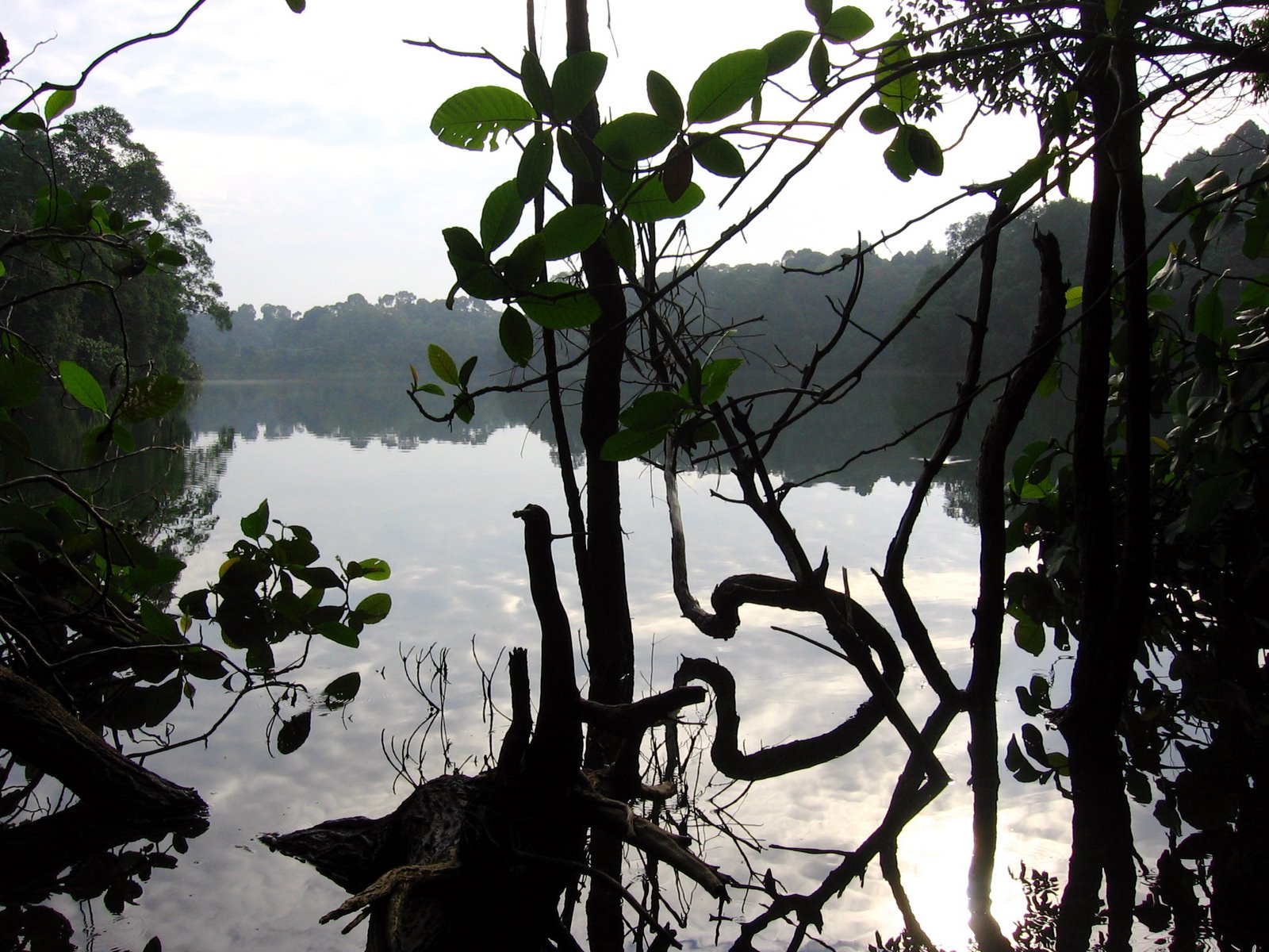 [IMG_6222.JPG]