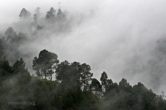 [01+-+_MG_6936_fx.jpg]