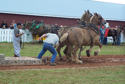Pull Horse
